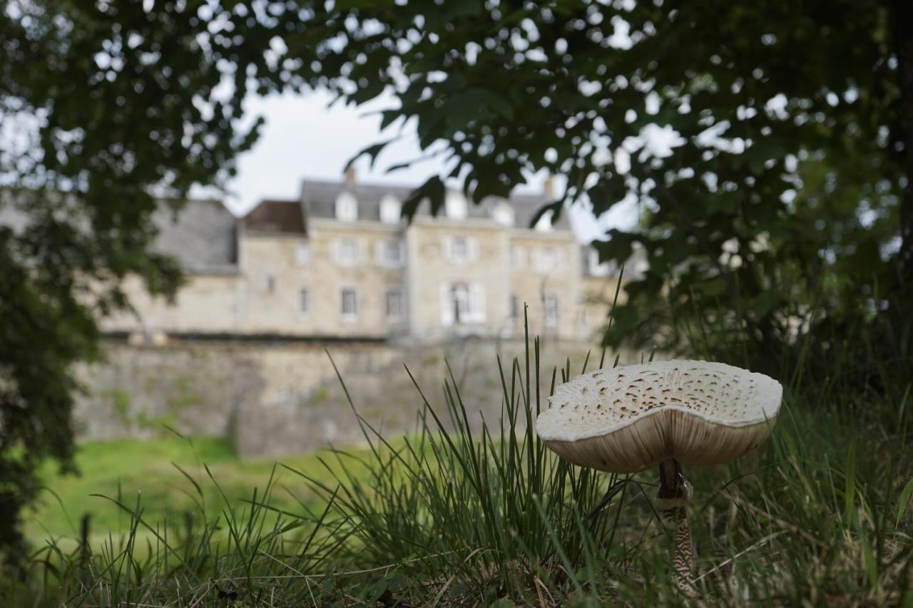 Glamping Chateau De La Chapelle Anthisnes エクステリア 写真